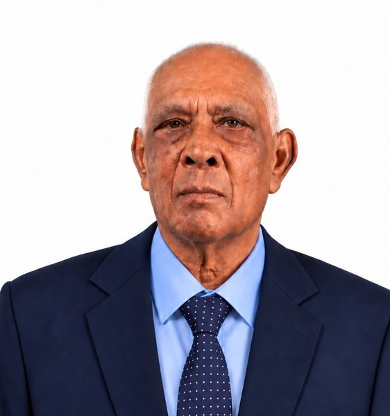 Portrait de Pierre Raymond Dabbadie